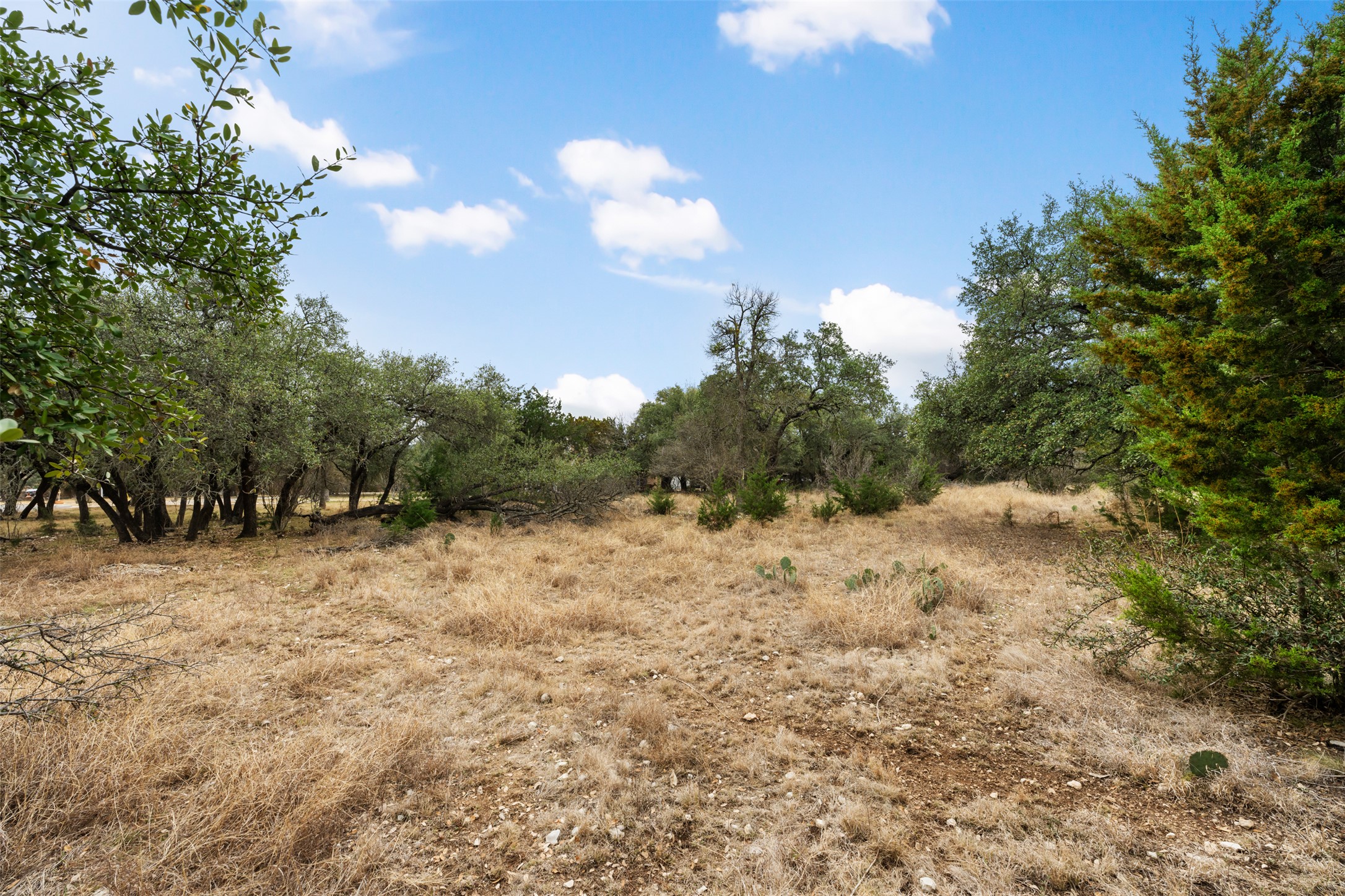 408 Ridge View Drive Georgetown, TX 78628 - Photo 5 of 23
