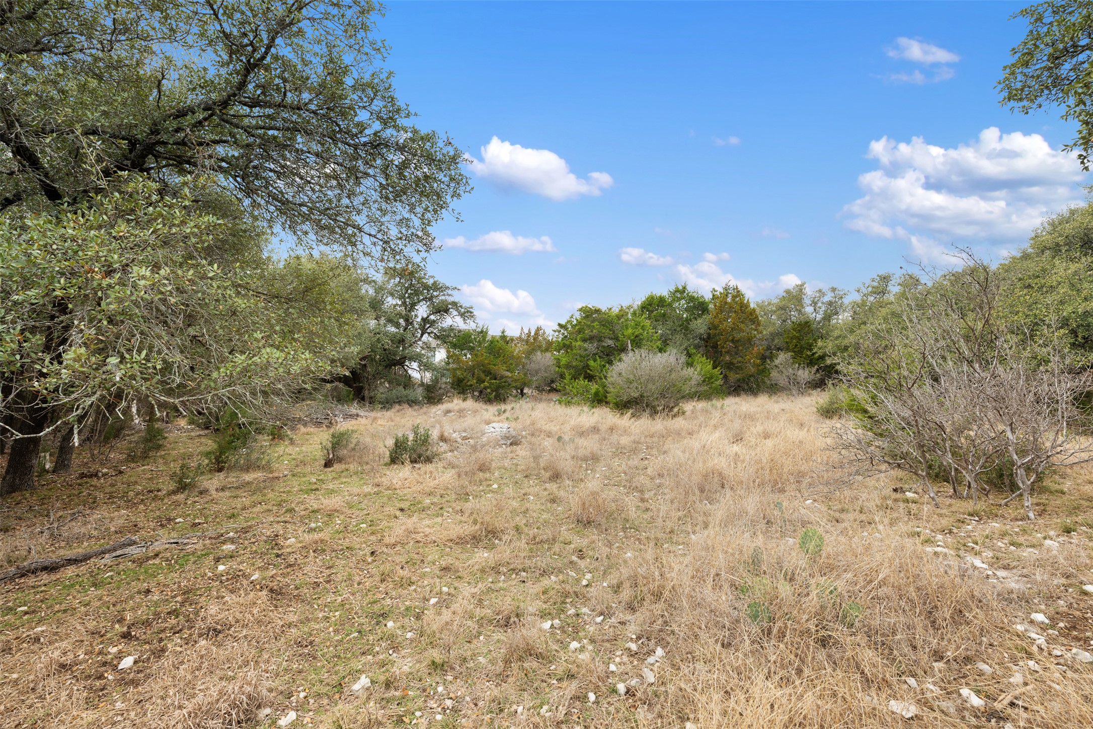 408 Ridge View Drive Georgetown, TX 78628 - Photo 9 of 23