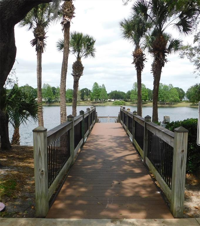 13836 Bluebird Pond Road Windermere, FL 34786 - Photo 30 of 31