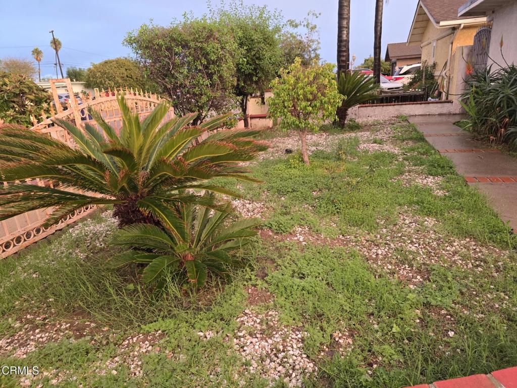 326 Simon Way Oxnard, CA 93036 - Photo 2 of 10 a view of a yard with plants and large trees