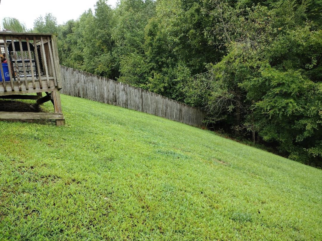 6041 Ricker Road Raleigh, NC 27610 - Photo 19 of 20 a view of a backyard with wooden fence