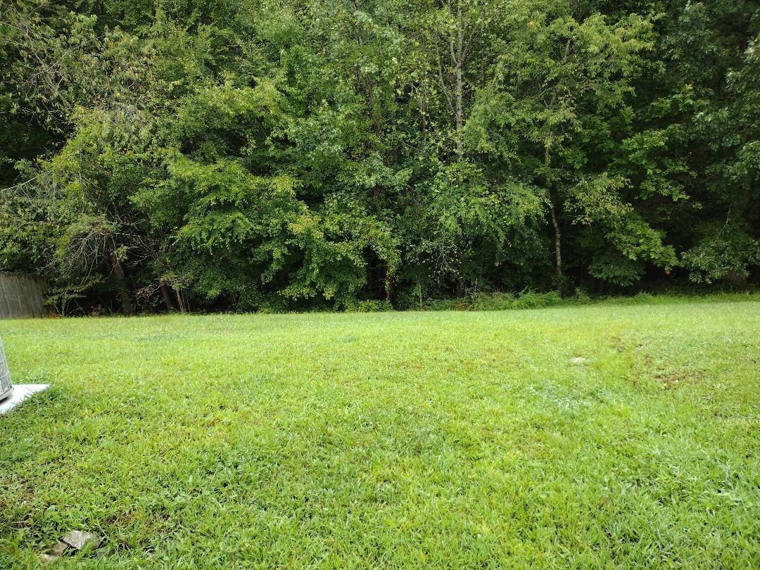 6041 Ricker Road Raleigh, NC 27610 - Photo 20 of 20 a view of a field of grass and trees