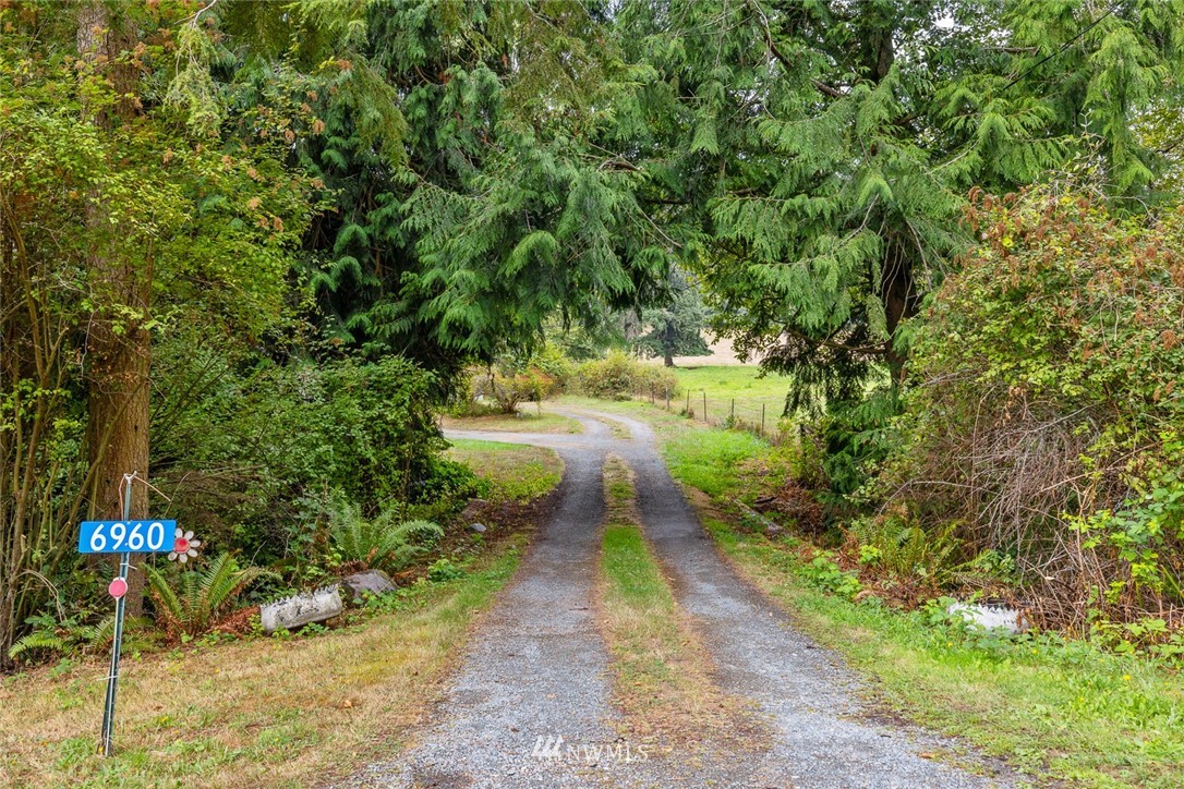 6960 Maxwelton Road Clinton, WA 98236 - Photo 2 of 40 a view of yard with green space