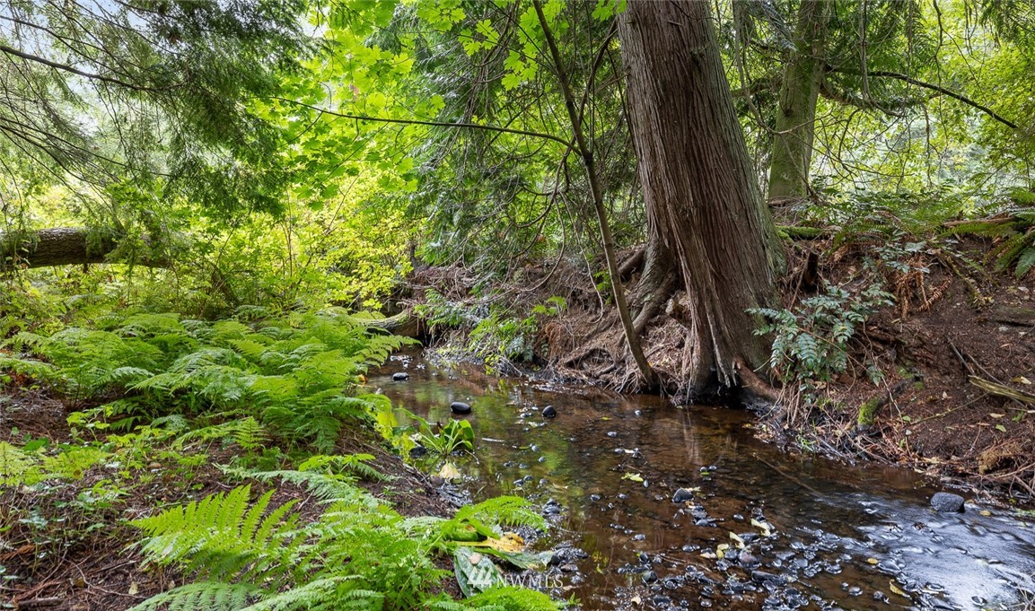 6960 Maxwelton Road Clinton, WA 98236 - Photo 4 of 40 a view of a forest