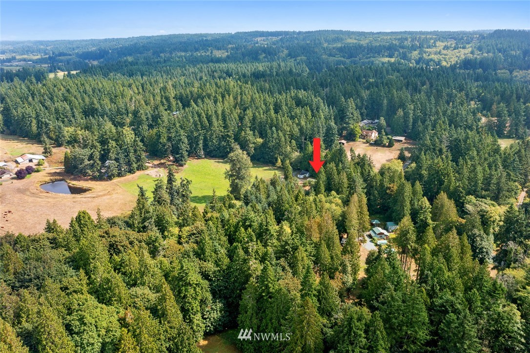 6960 Maxwelton Road Clinton, WA 98236 - Photo 33 of 40 a view of a houses with a lush green forest