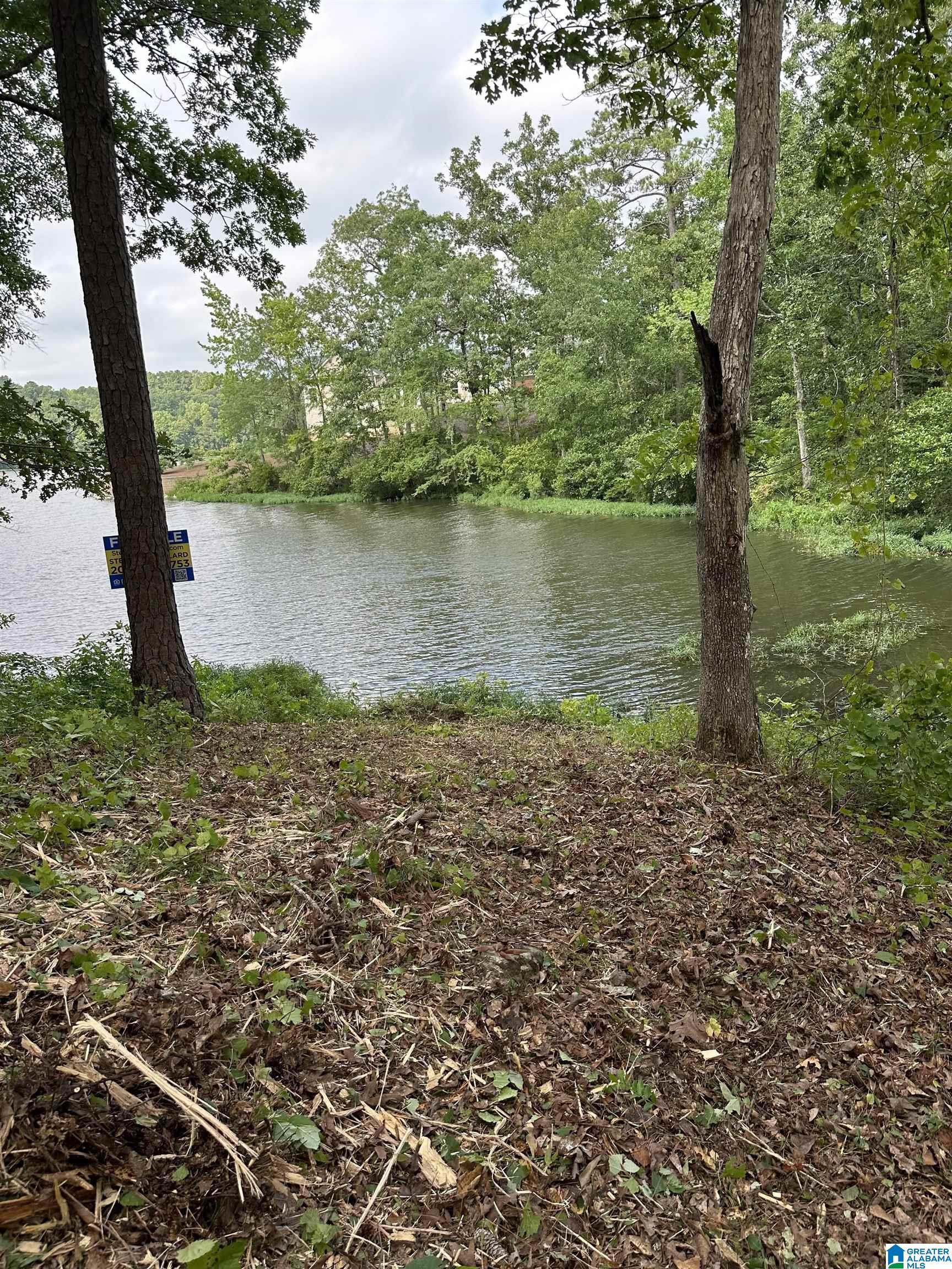 Stillwaters Trail, Unit 155 Sylacauga, AL 35151 - Photo 2 of 15