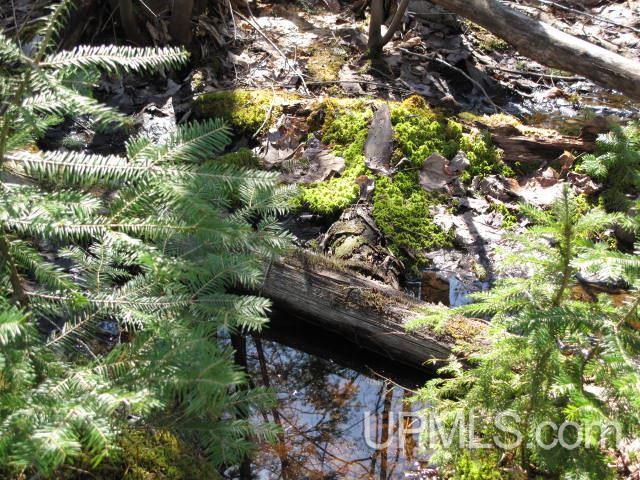 22405 Webb Road Grand Marais, MI 49839 - Photo 18 of 32 Gallery Image 18