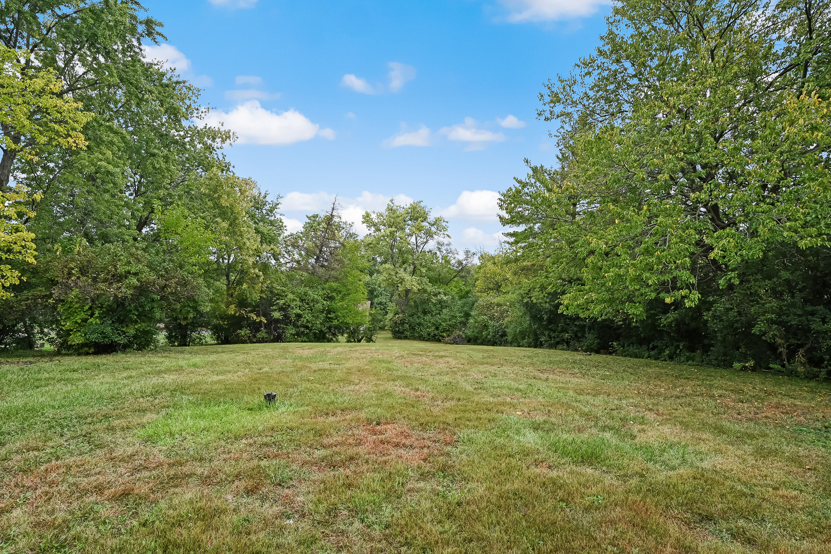 219 79th Street Burr Ridge, IL 60527 - Photo 19 of 28 a view of a green field with trees in the background