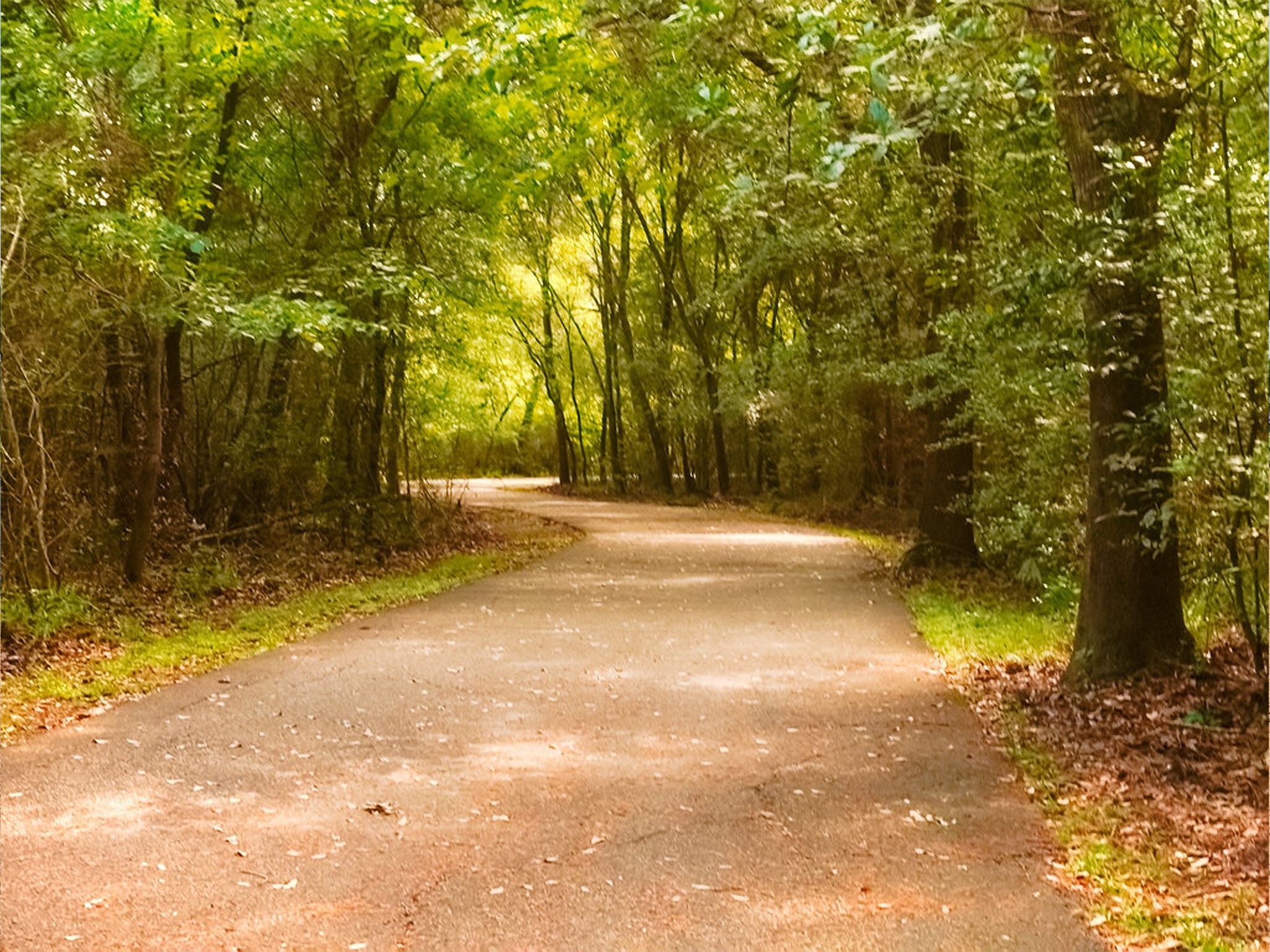 19422 Harvest Stream Way Houston, TX 77084 - Photo 40 of 41 Discover tranquility just 1.6 miles away at Cullen Park, where winding trails weave through lush greenery, offering a perfect escape into nature.
