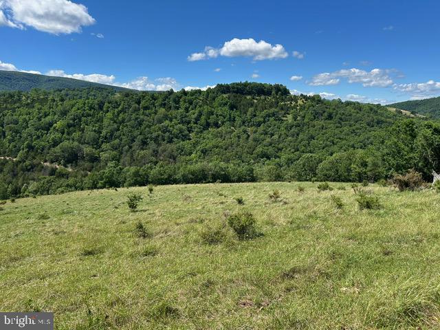 1096 Co Rte 10/2 Franklin, WV 26807 - Photo 1 of 23