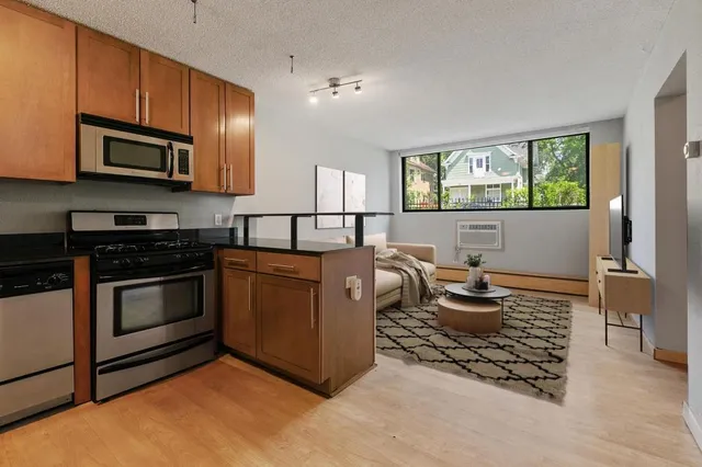$1,195 | 2530 1st Avenue South, Unit 101, Minneapolis, MN 55404