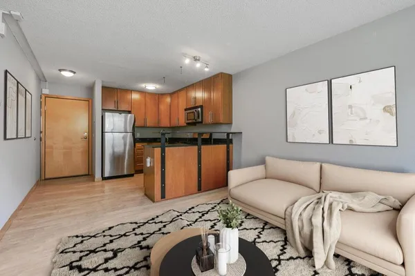 $1,195 | 2530 1st Avenue South, Unit 101, Minneapolis, MN 55404
