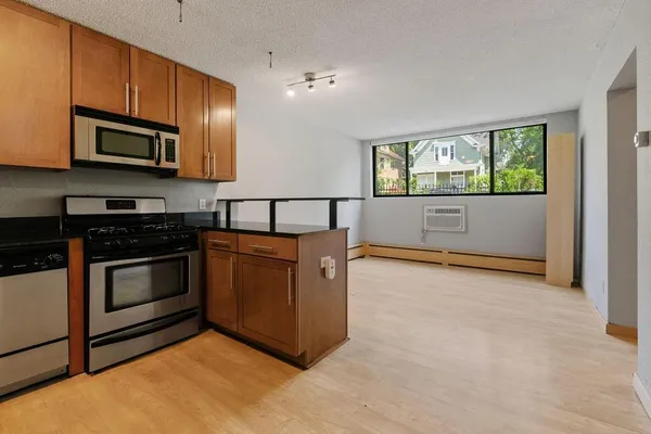 $1,195 | 2530 1st Avenue South, Unit 101, Minneapolis, MN 55404
