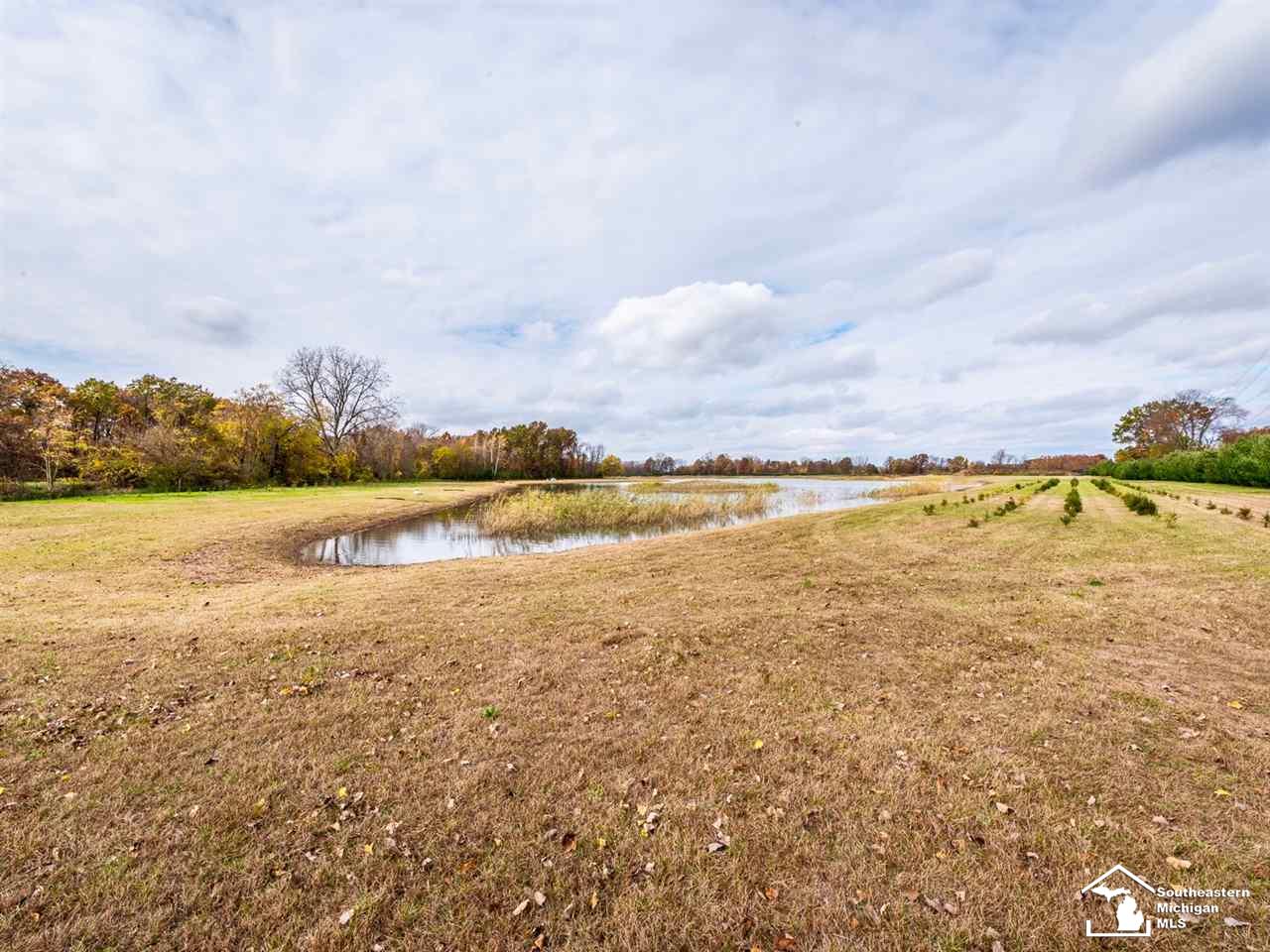 0 Meanwell Road Dundee, MI 48131 - Photo 6 of 19