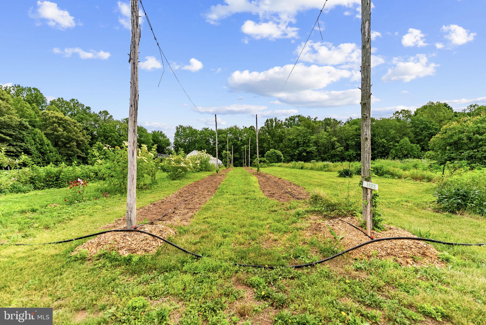 9269 Redemption Way Midland, VA 22728 - Photo 20 of 24