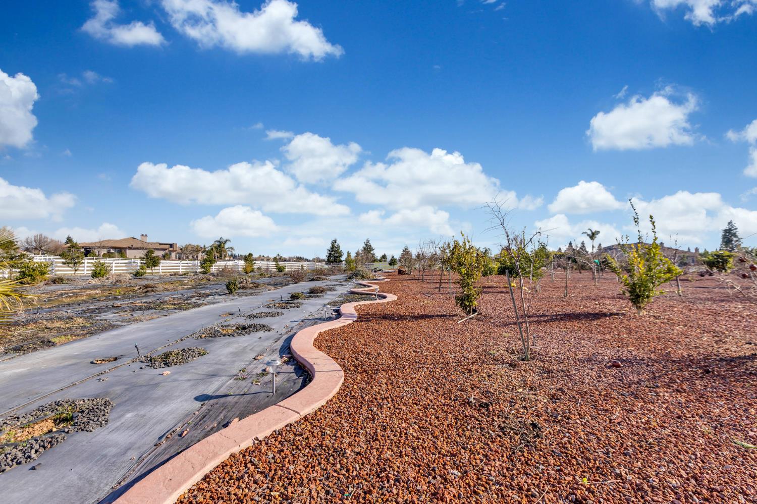 9601 Stablegate Road Wilton, CA 95693 - Photo 77 of 92 a view of a dry yard