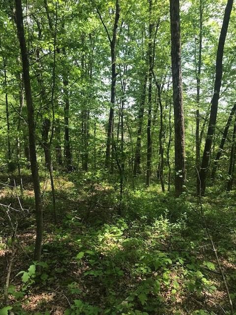 63 County Road 100 Decatur, TN 37322 - Photo 8 of 9