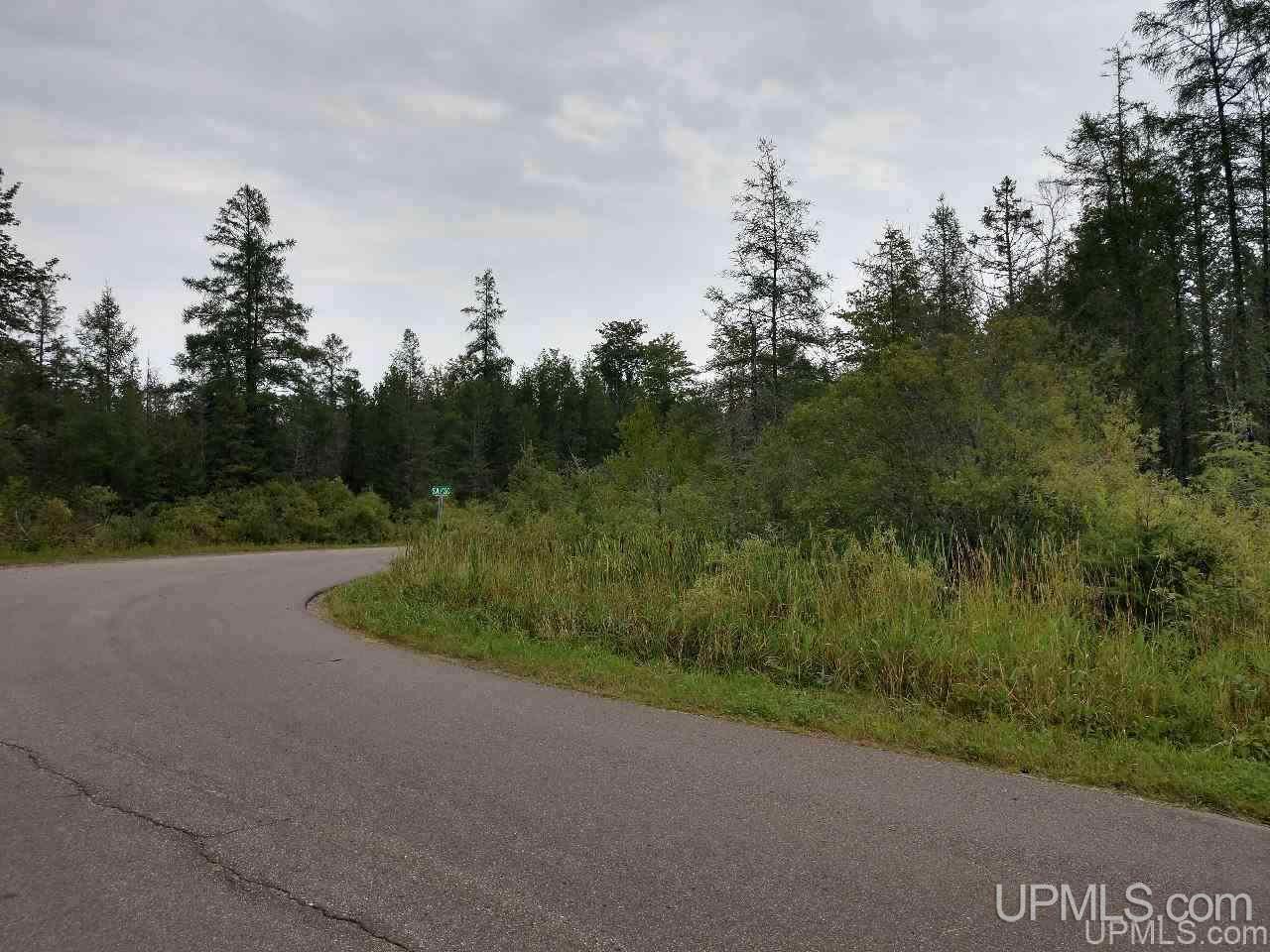 5-acres Co Rd Sa Cornell, MI 49818 - Photo 4 of 27