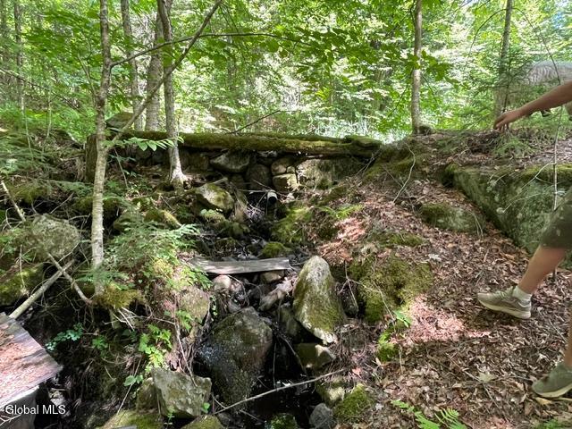 787 Stoney Lonesome Road Crown Point, NY 12928 - Photo 29 of 33 reservoir