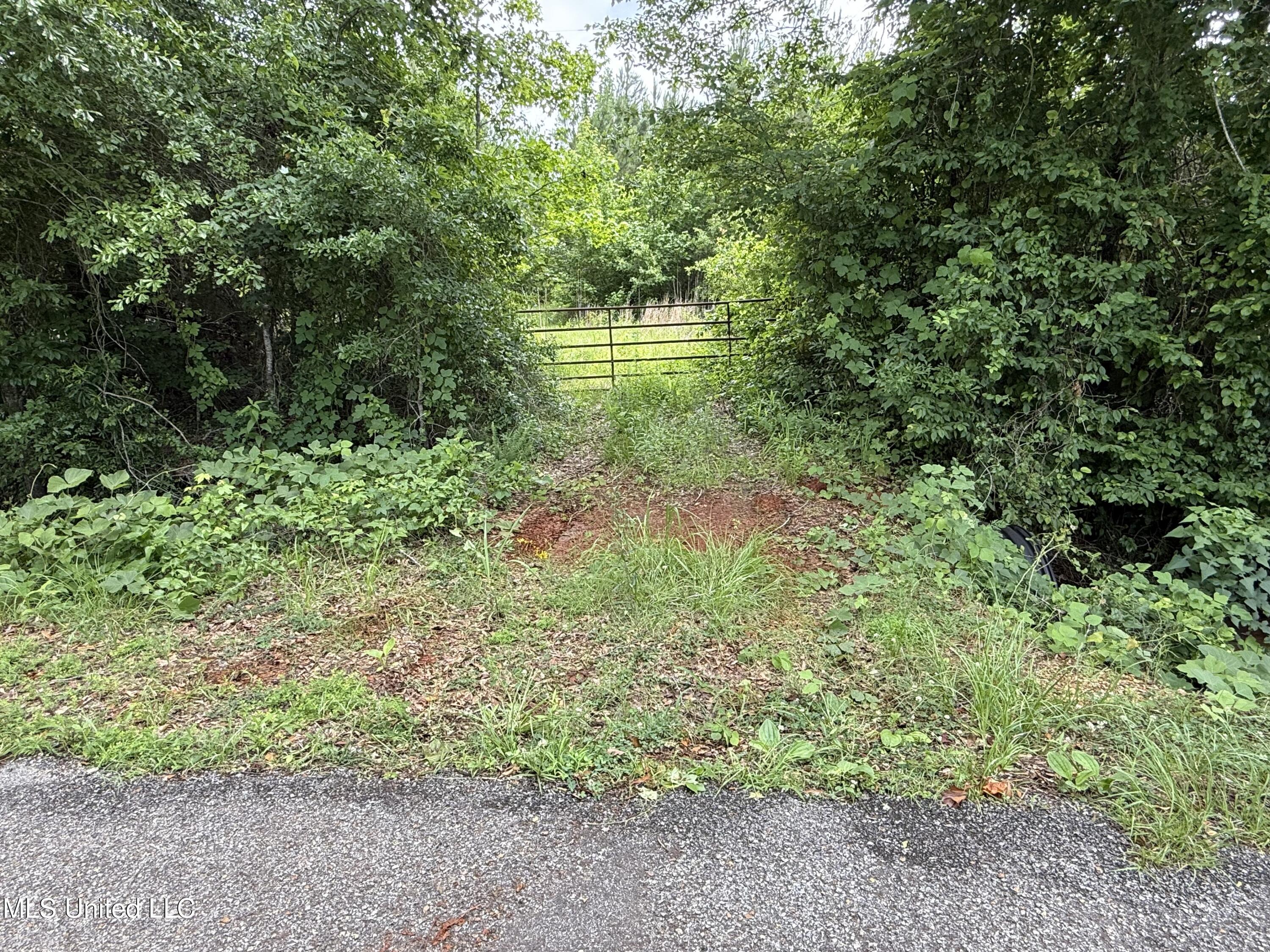 Mcneil Road Road Decatur, MS 39327 - Photo 1 of 26 Gate