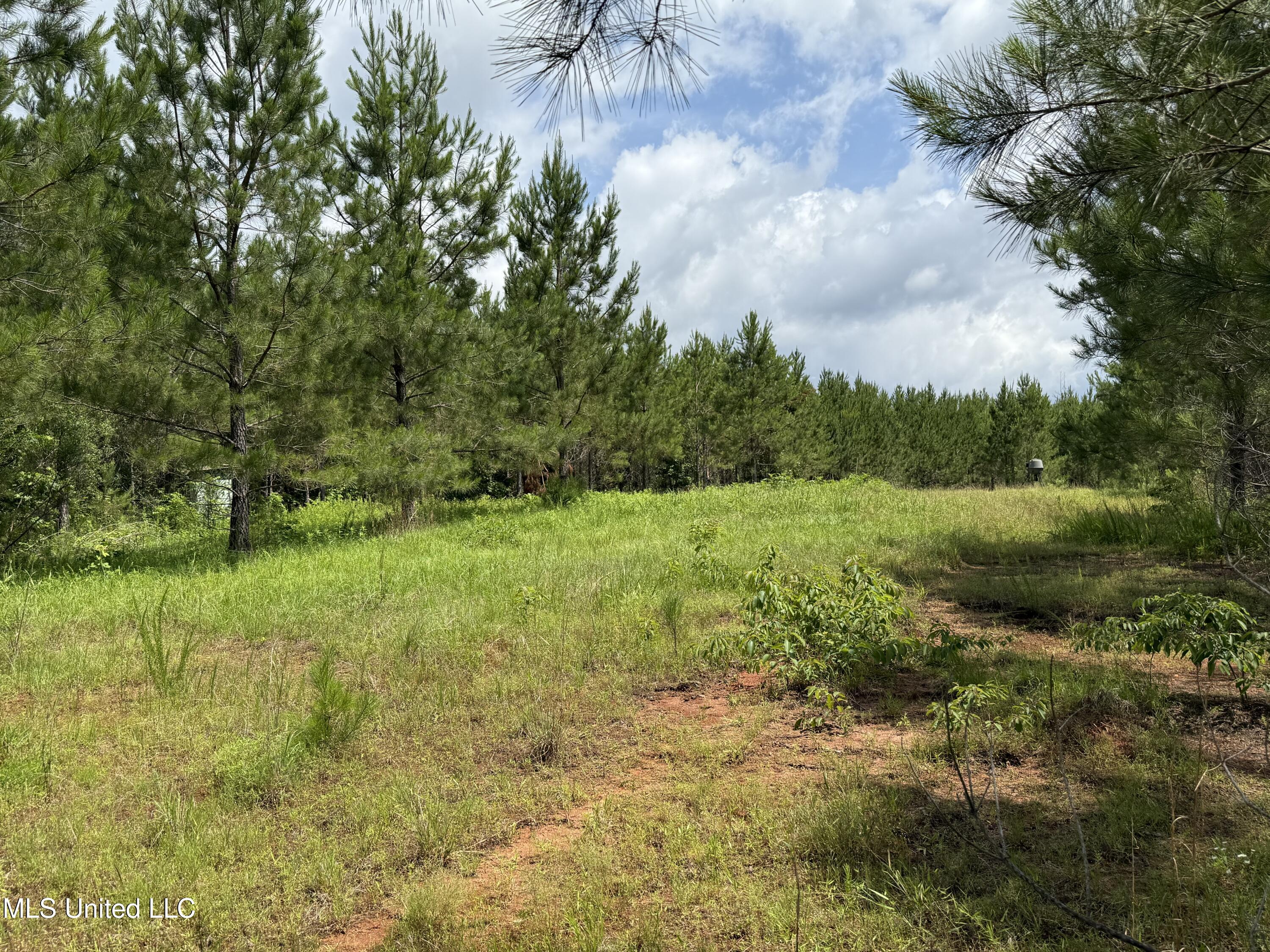 Mcneil Road Road Decatur, MS 39327 - Photo 8 of 26 8.