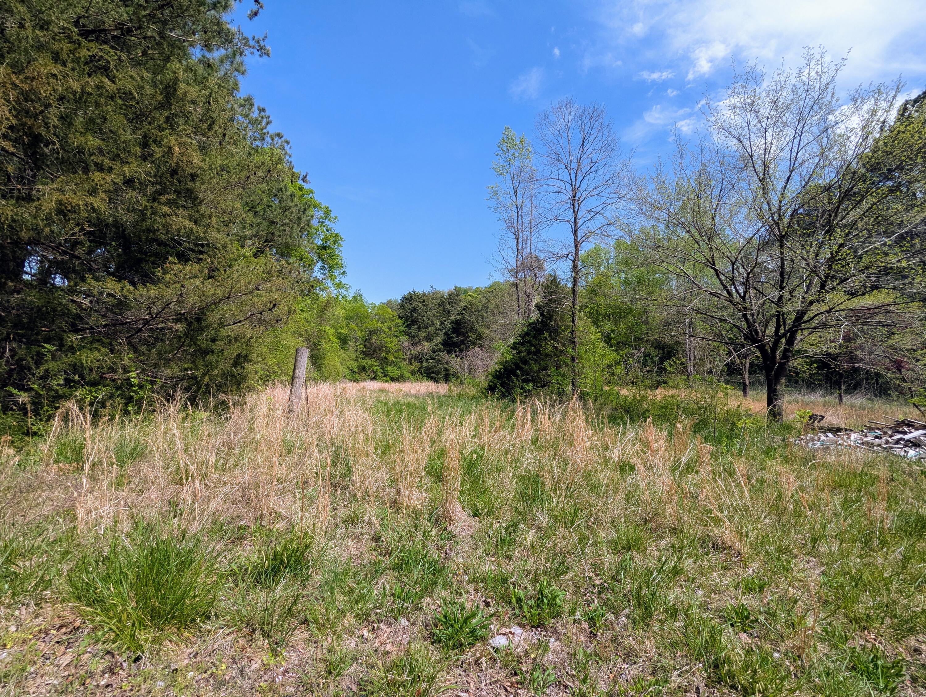 5694 Ladd Springs Road Old Fort, TN 37362 - Photo 11 of 15 Ladd Springs1
