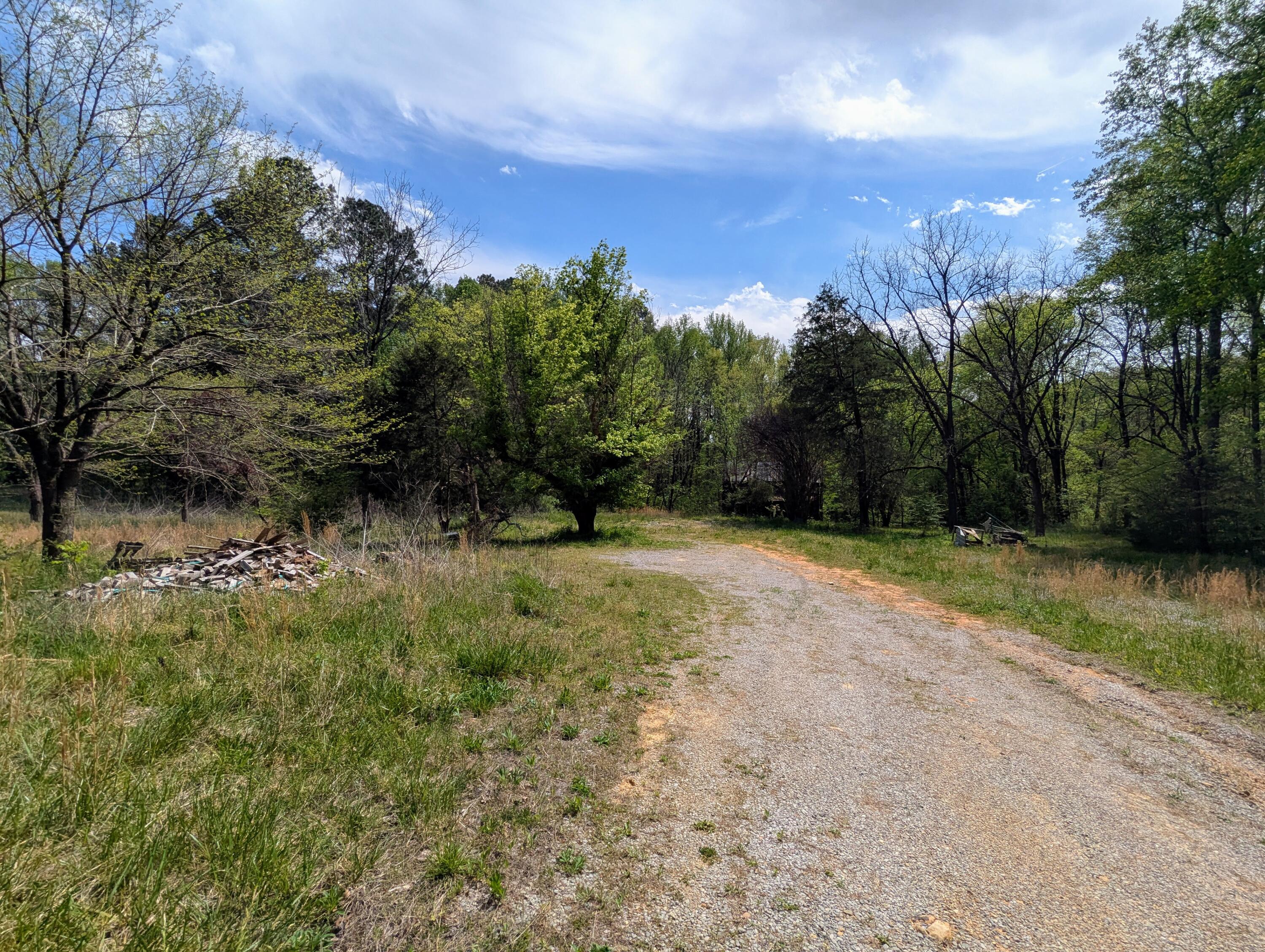 5694 Ladd Springs Road Old Fort, TN 37362 - Photo 14 of 15 Ladd Springs JWilson Rd