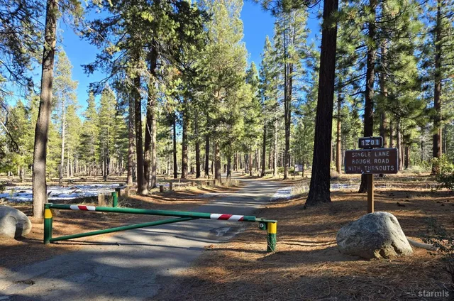 a park view with large trees