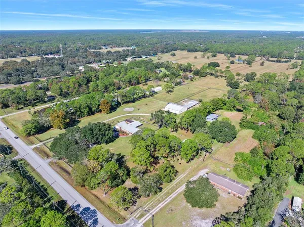 an aerial view of ocean and trees