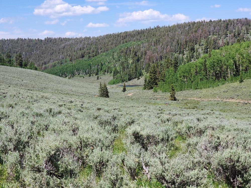 Tbd Tbd Buck Run Road Powderhorn, CO 81243 - Photo 16 of 23