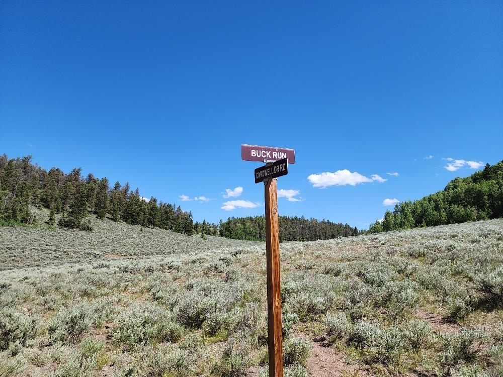 Tbd Tbd Buck Run Road Powderhorn, CO 81243 - Photo 2 of 23