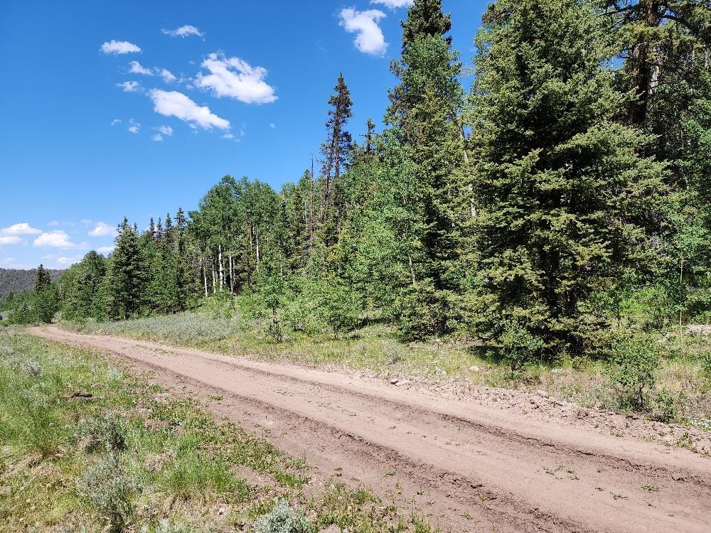 Tbd Tbd Buck Run Road Powderhorn, CO 81243 - Photo 22 of 23