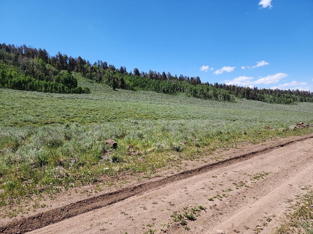 Tbd Tbd Buck Run Road Powderhorn, CO 81243 - Photo 23 of 23