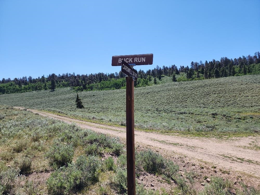 Tbd Tbd Buck Run Road Powderhorn, CO 81243 - Photo 3 of 23