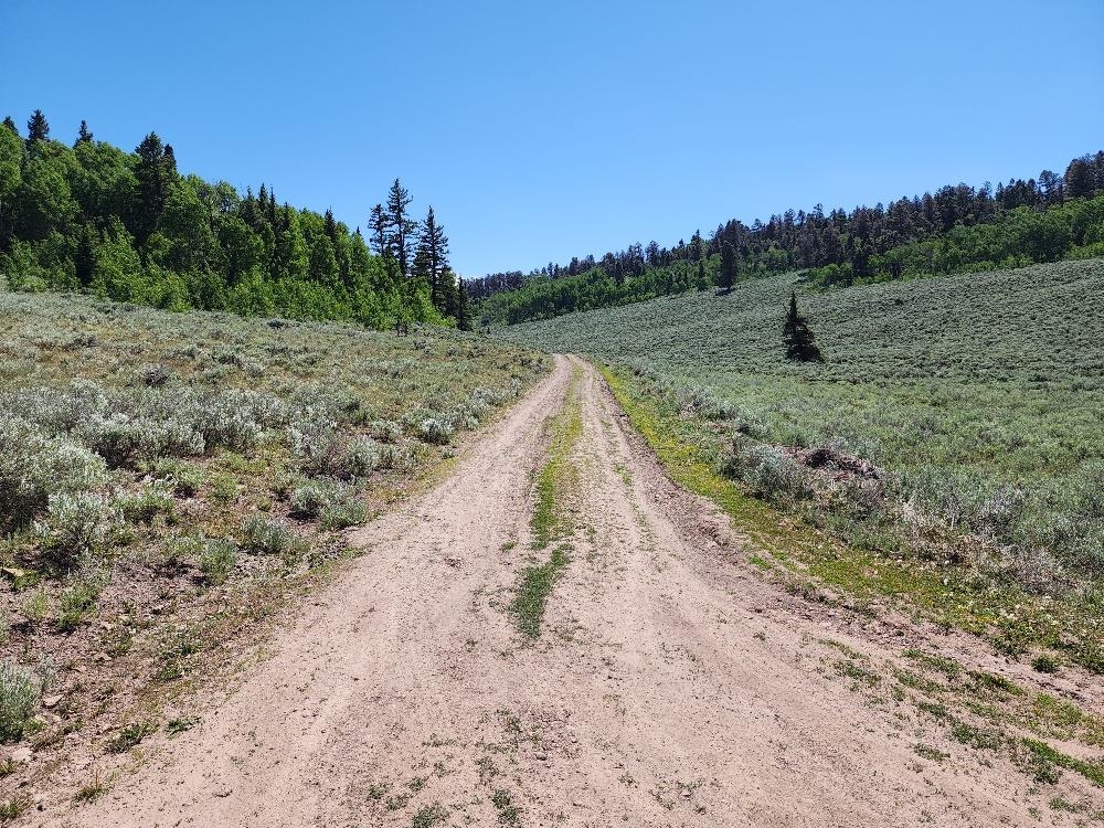 Tbd Tbd Buck Run Road Powderhorn, CO 81243 - Photo 4 of 23