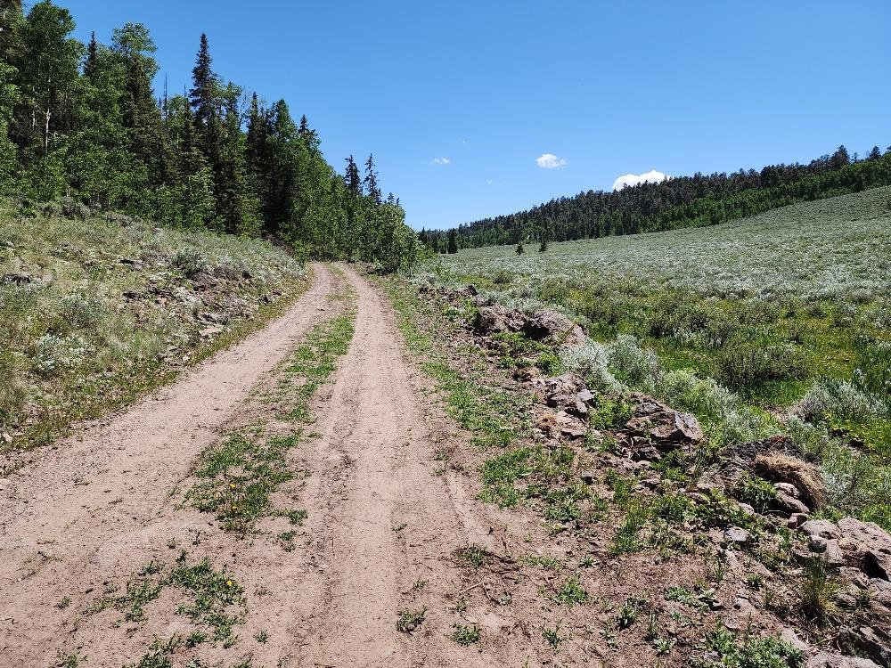 Tbd Tbd Buck Run Road Powderhorn, CO 81243 - Photo 6 of 23