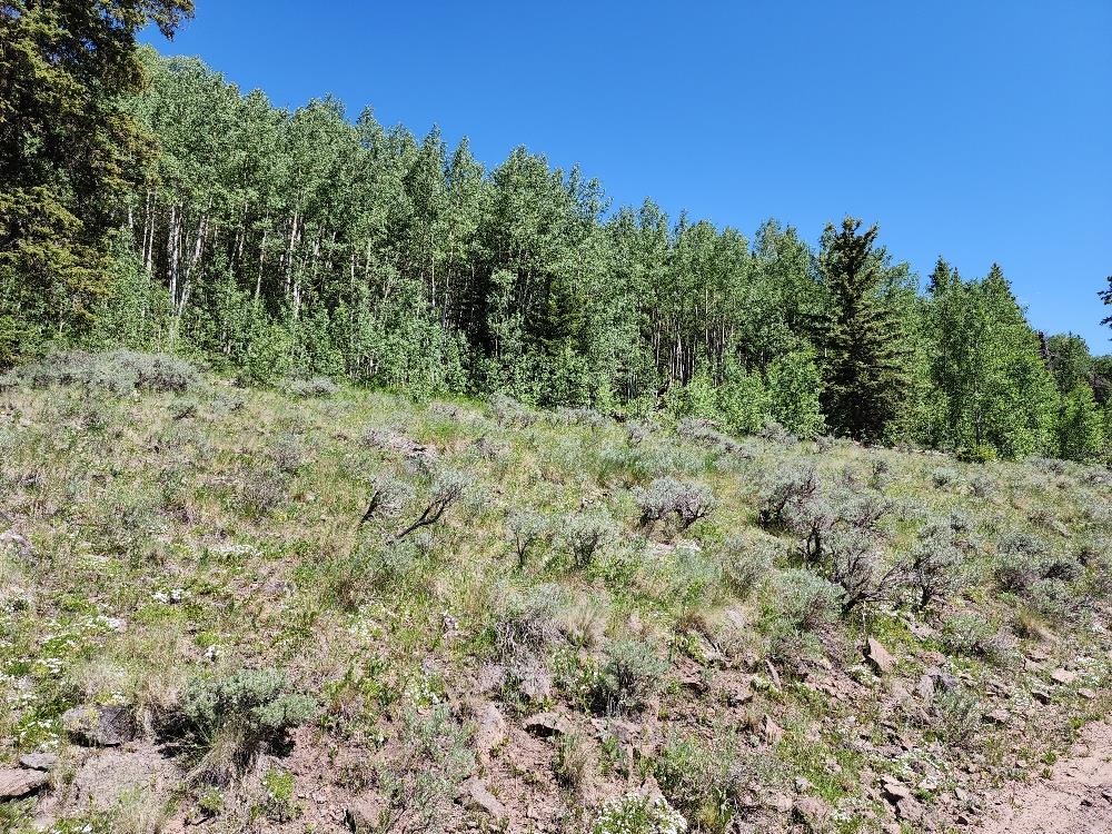 Tbd Tbd Buck Run Road Powderhorn, CO 81243 - Photo 10 of 23