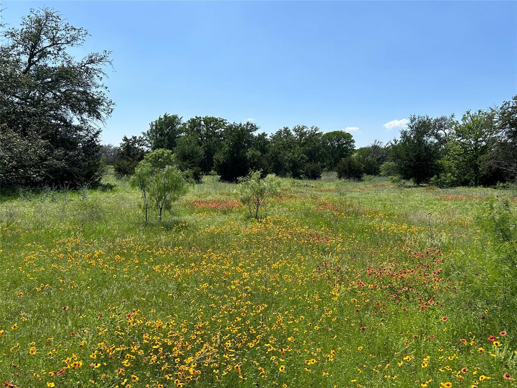 341 West Fm 574 Goldthwaite, TX 76844 - Photo 14 of 40