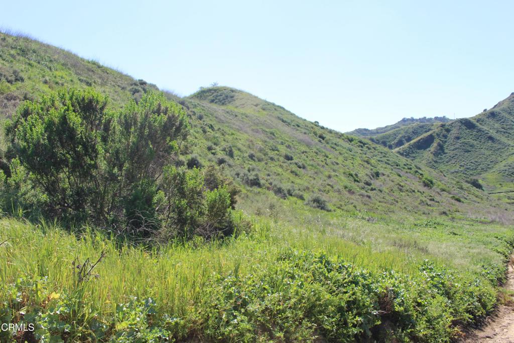 0 Dickenson Road Santa Paula, CA 93060 - Photo 24 of 44 IMG_6108