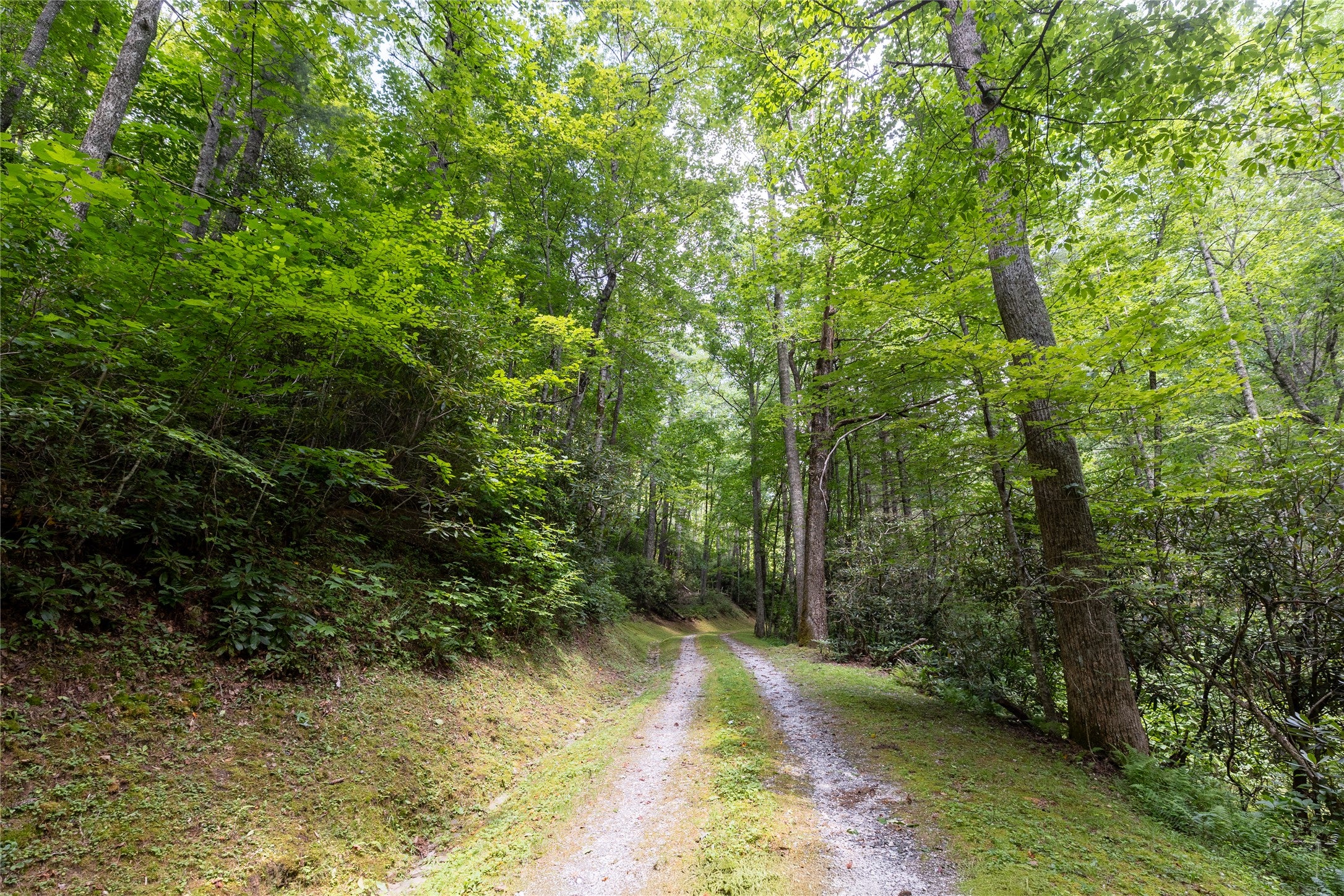 Tbd Aimless Hl Road Cashiers, NC 28717 - Photo 8 of 43 Gallery Image 8