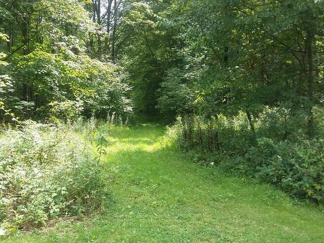 2095 Telic Run Road Youngsville, PA 16371 - Photo 2 of 17 Gallery Image 2