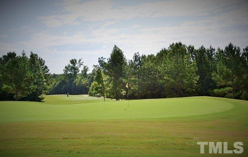 30 North Ridge View Way Franklinton, NC 27525 - Photo 10 of 13 Gallery Image 10