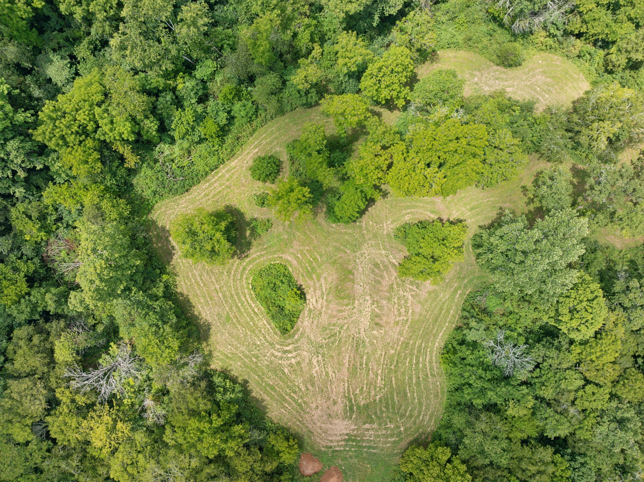 0 Greens Mill Road Spring Hill, TN 37174 - Photo 9 of 9