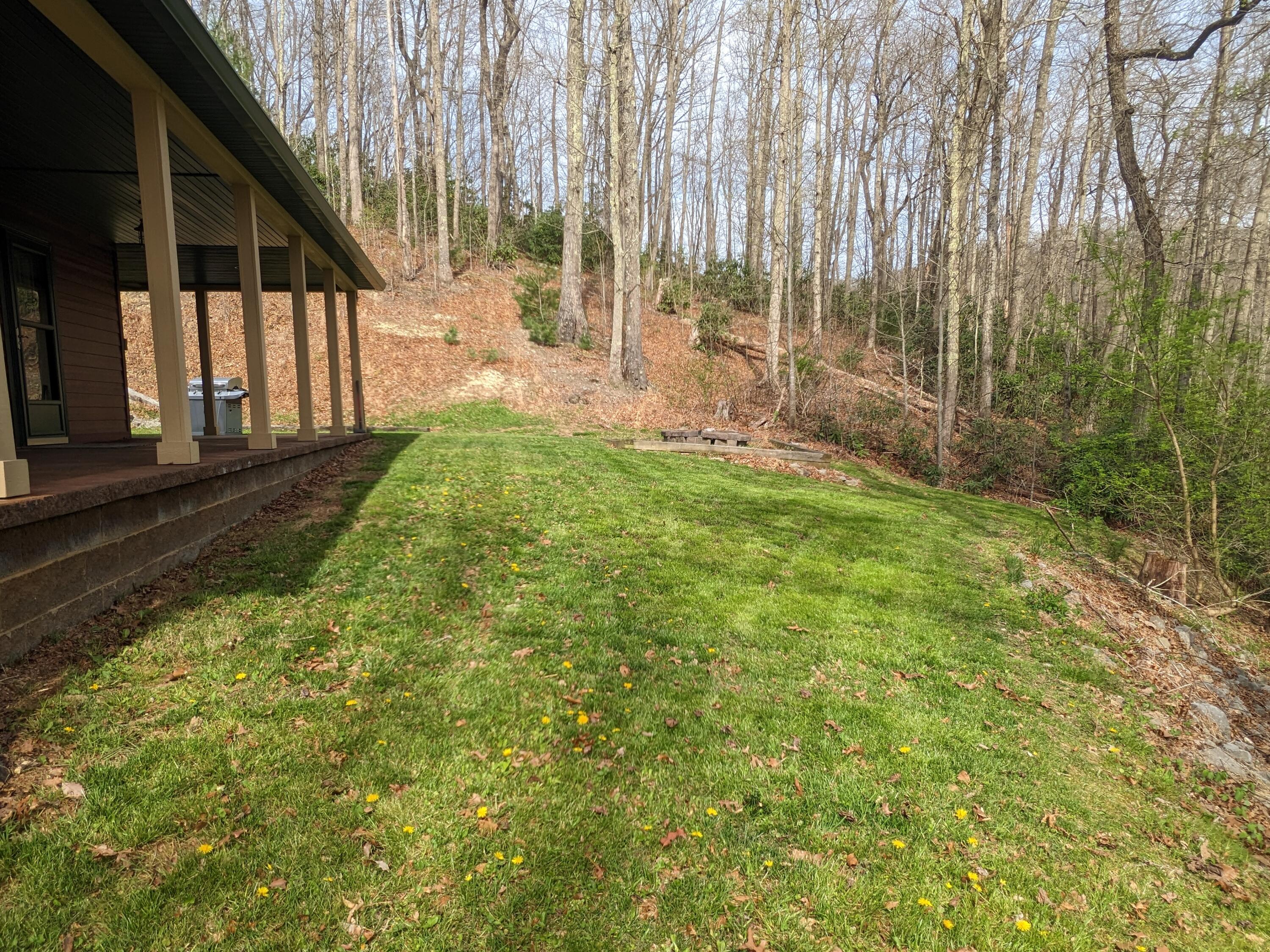 8421 Woodridge Road Wise, VA 24293 - Photo 11 of 56 Side yard