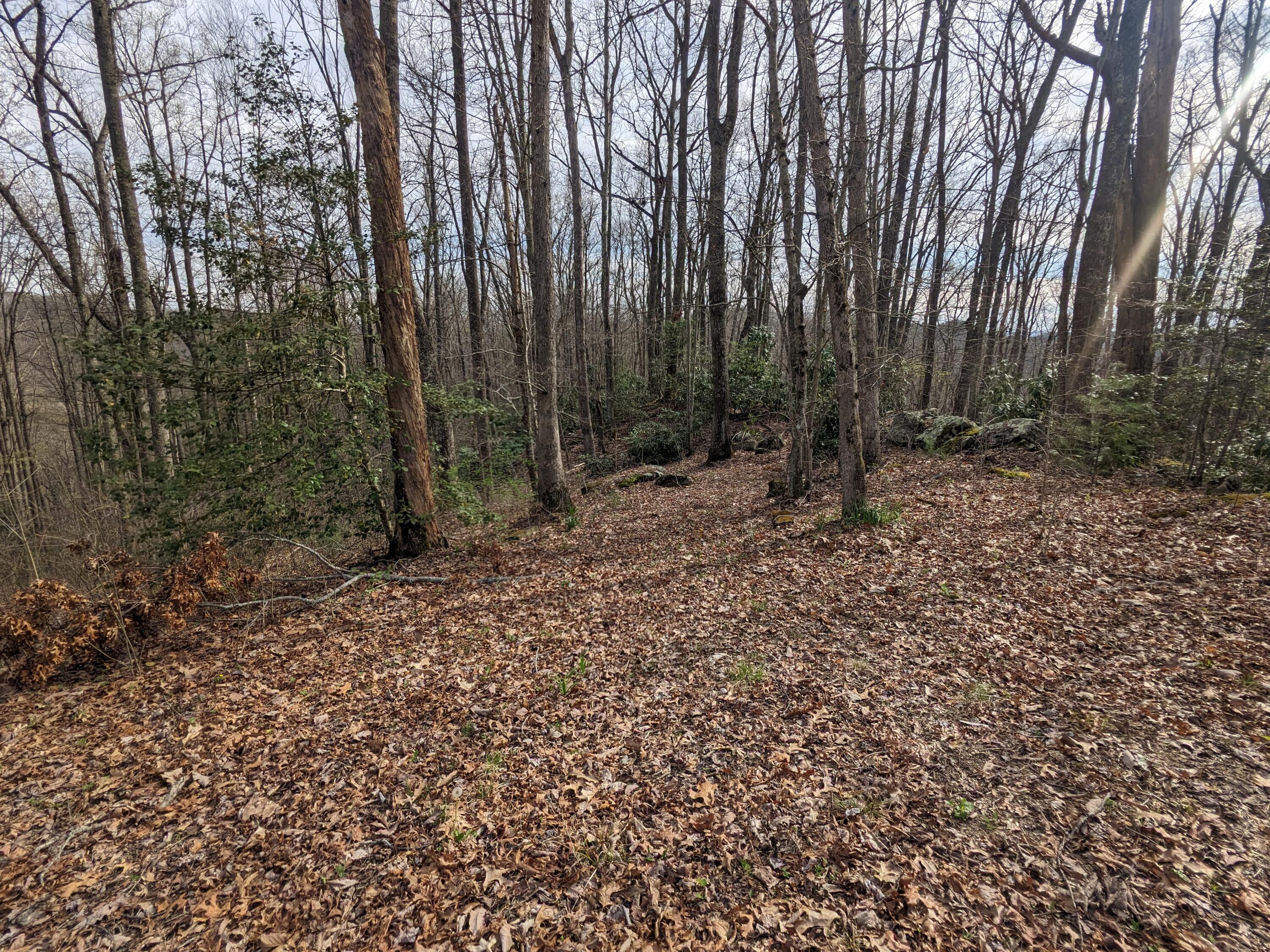 8421 Woodridge Road Wise, VA 24293 - Photo 48 of 56 *