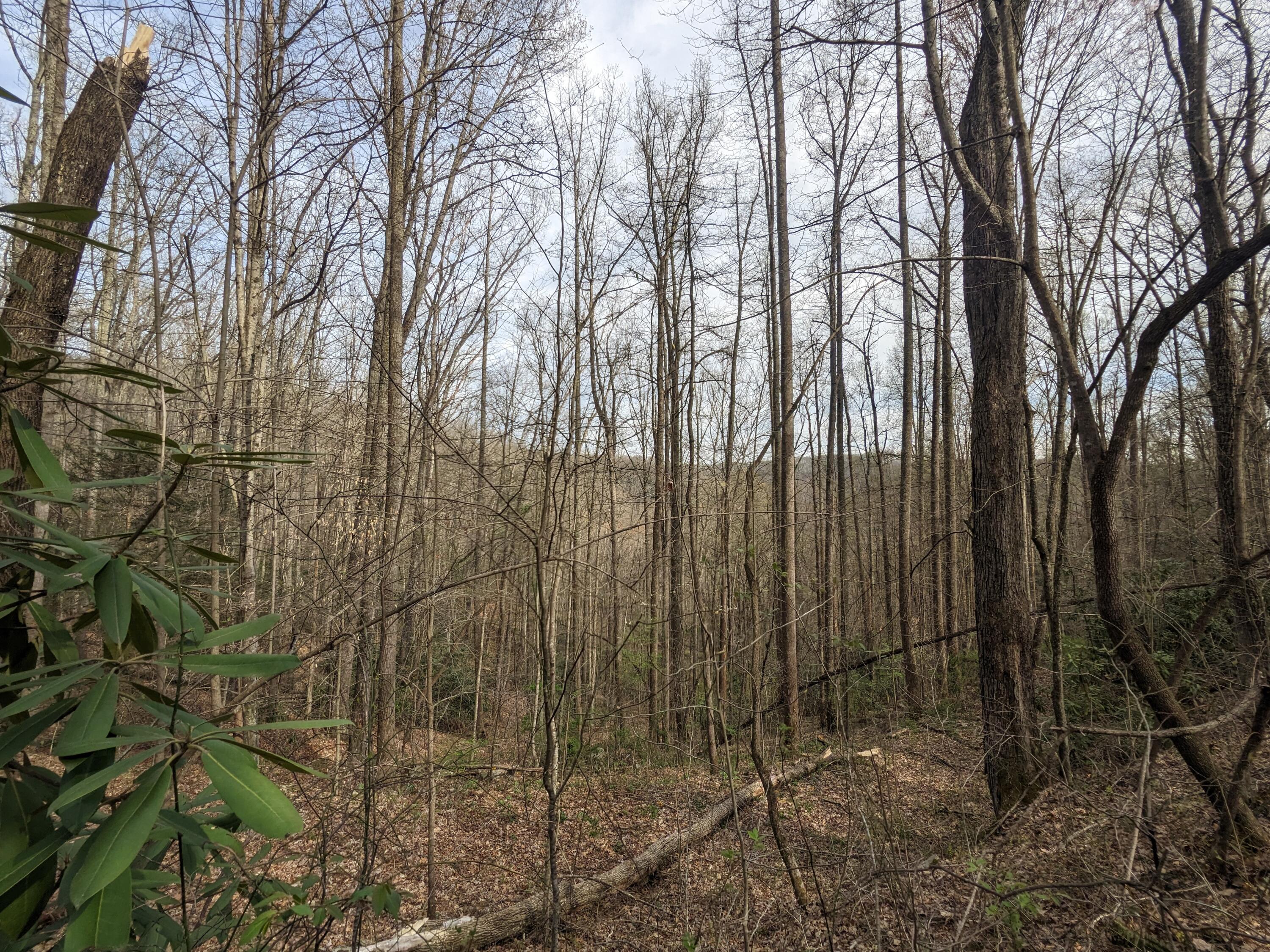 8421 Woodridge Road Wise, VA 24293 - Photo 54 of 56 More trails