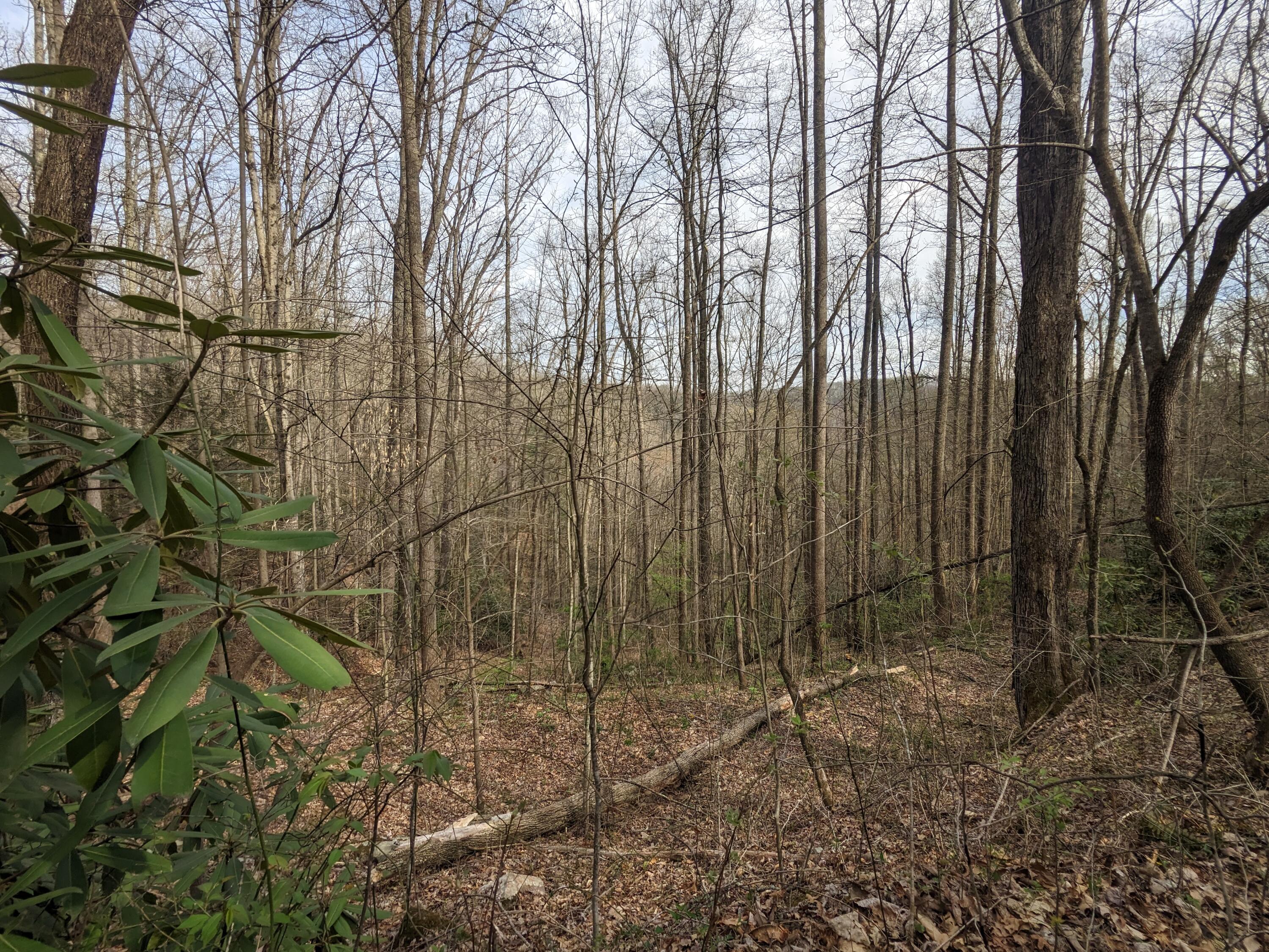 8421 Woodridge Road Wise, VA 24293 - Photo 55 of 56 More trails