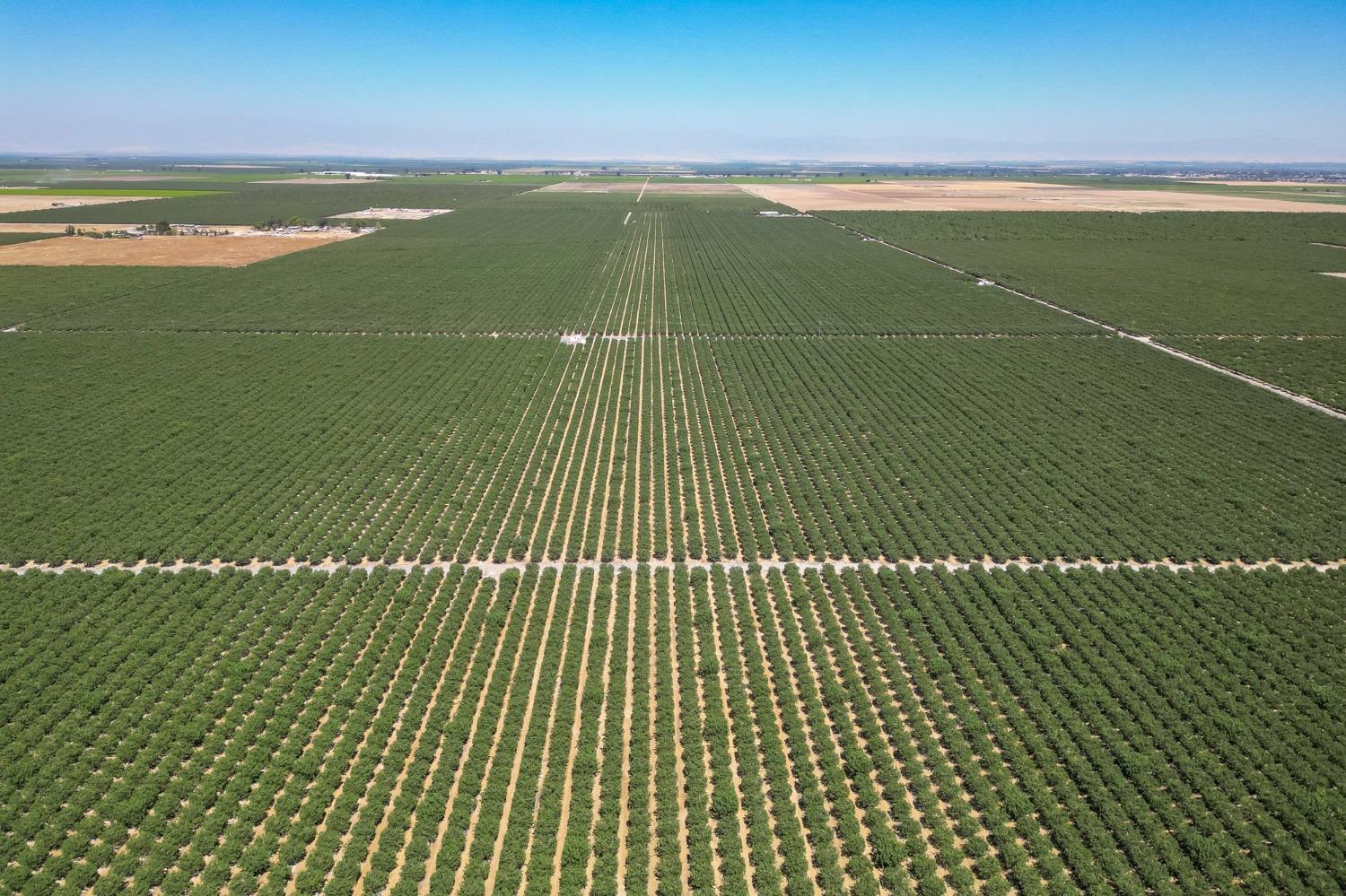 10570 Ave 16 Delano, CA 93215 - Photo 3 of 10 a view of a lake