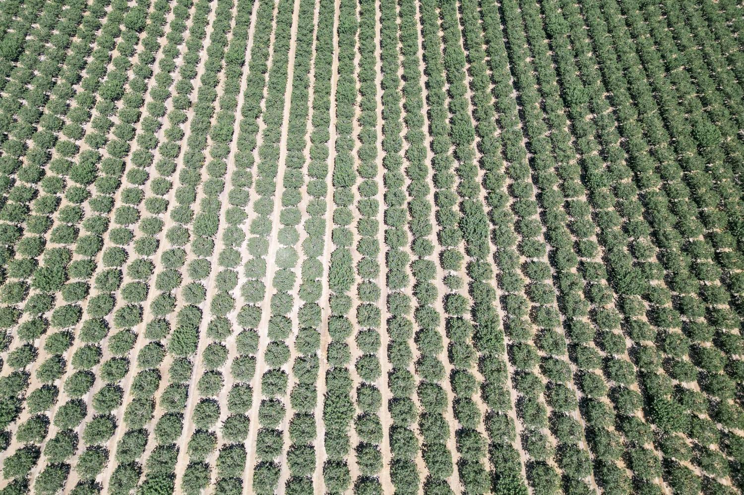 10570 Ave 16 Delano, CA 93215 - Photo 4 of 10 a bathroom with a shower curtain