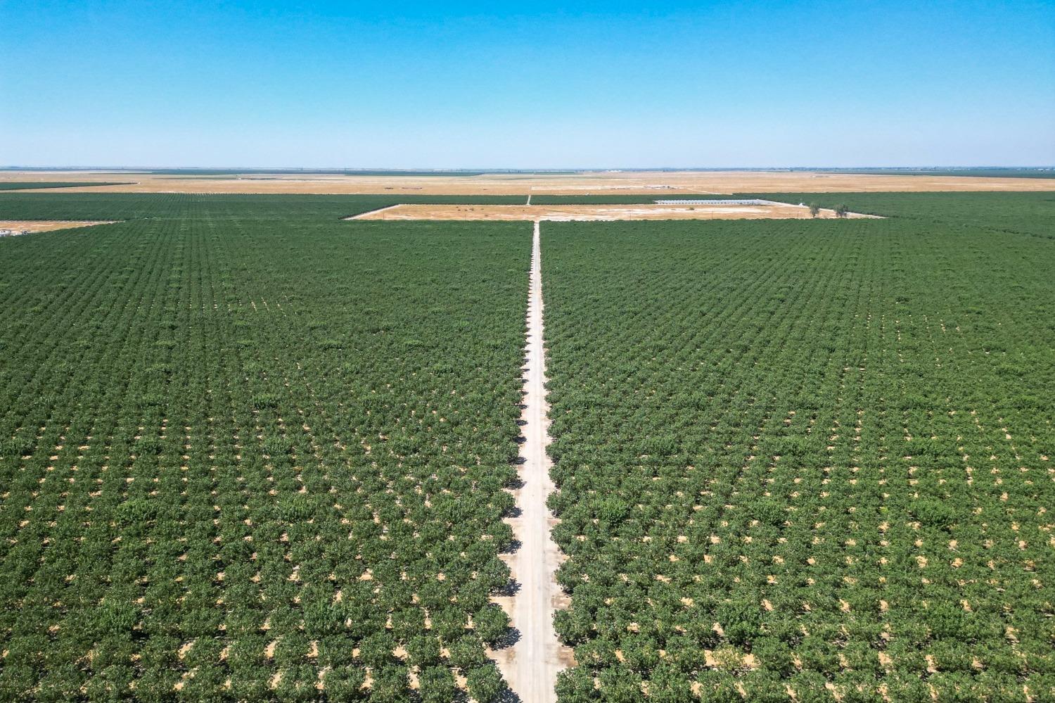 10570 Ave 16 Delano, CA 93215 - Photo 9 of 10 a view of yard with swimming pool and middle of the background
